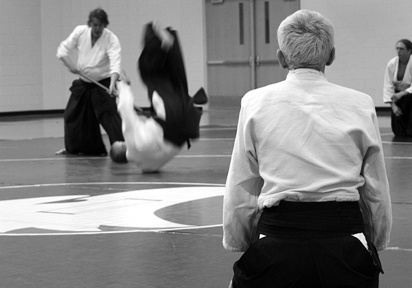 aikido-g198cba1d4_1280