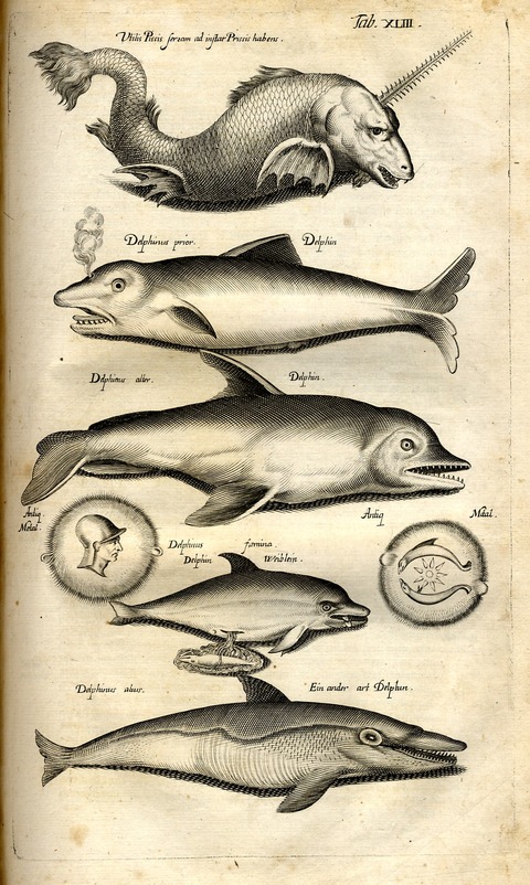 20120614010007_274_19