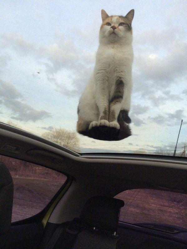 no title
