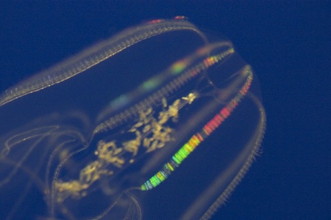 20111210165854_136_2