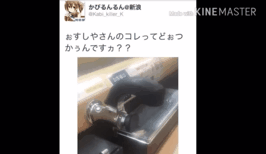 Gif画像で俺を癒して 不思議 Net Gif画像で俺を癒して 不思議 Net