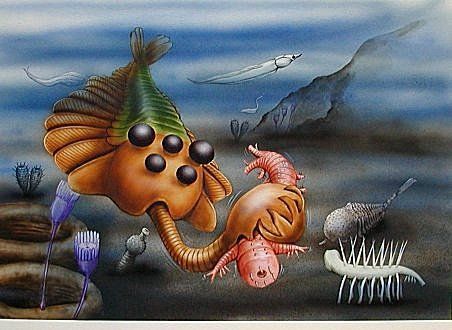 opabinia