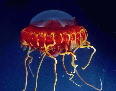 20111210165854_102_2