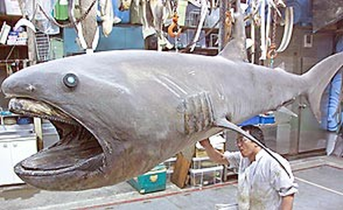 0e9006a220fb30eb5949_af520928f54ed8de12da