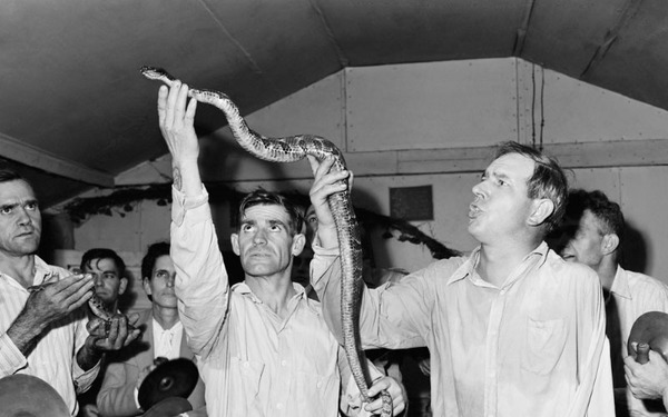 snake-handling-cult