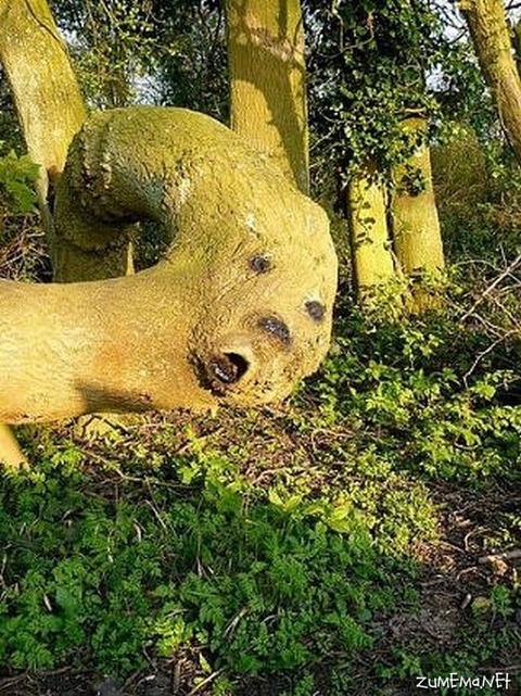 6e391240ff2e5efa4f8098fc60db5463