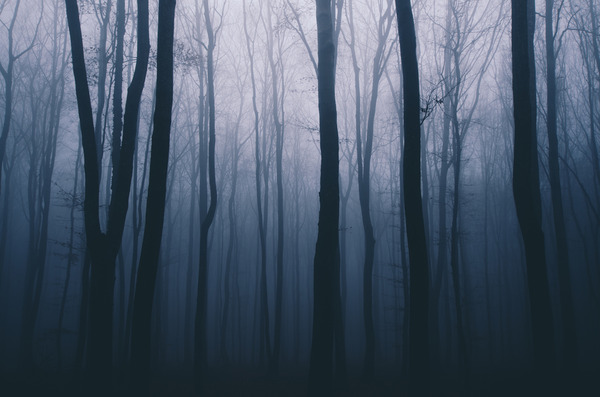 shutterstock_287378126