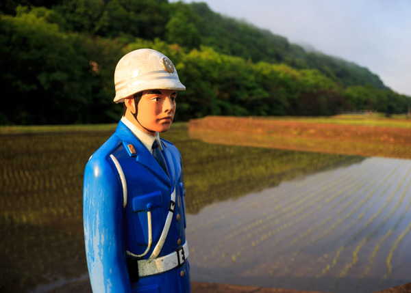 shutterstock_1084888013