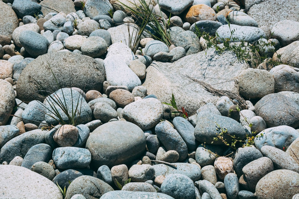 zubotty20716DSC_4914_TP_V4