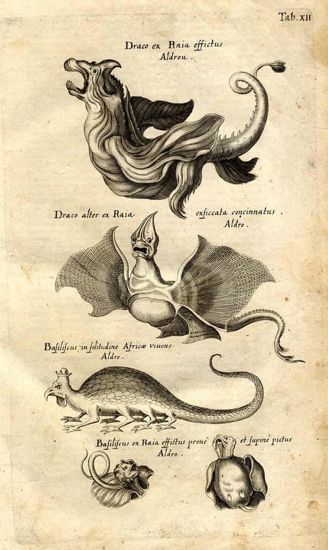 20120614010007_275_11