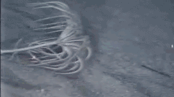 20111210165854_98_11