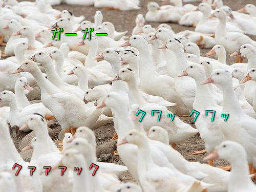 0f89c9a3-1