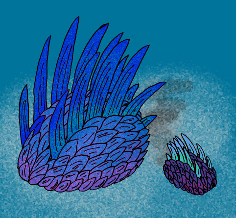 Wiwaxia_corrugata