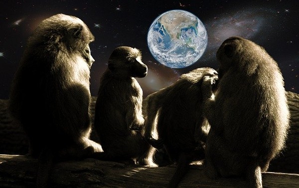 planet-of-the-apes-679911_640