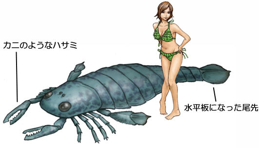 ウミサソリ
