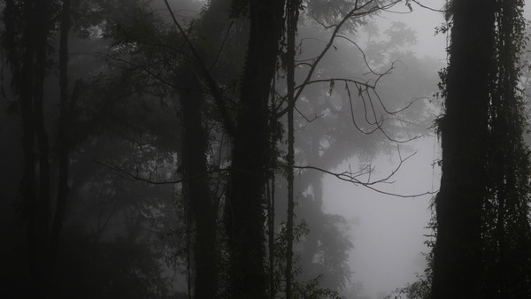 shutterstock_1550175107