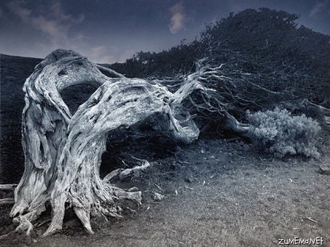 08aa83fd7c1e842b33677c2192ccf6db