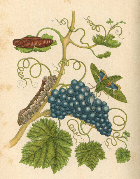 20120614010007_272_21