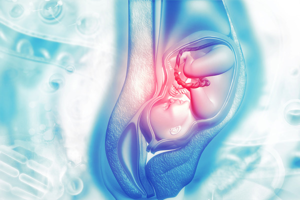 shutterstock_713730061