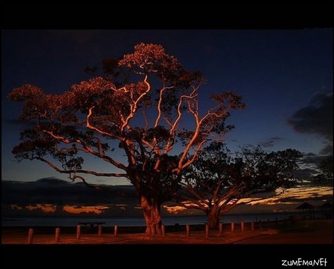 ee21a3618a4b3298f0bd2272a396773d