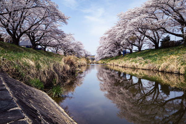 ikeda-fujitagawa_R0013942277_TP_V4