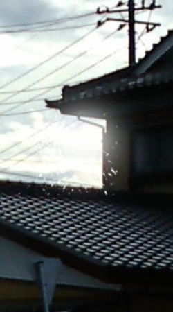 f342e1c4