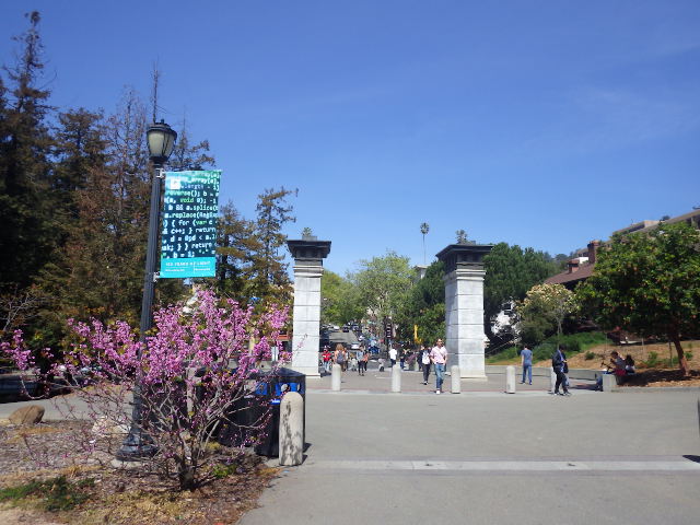 IMGP4526
