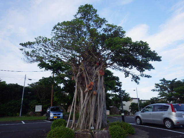 imgp2881