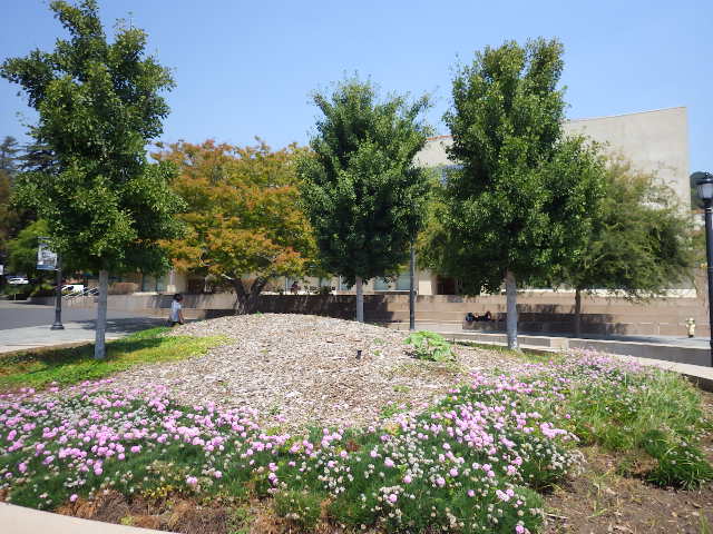 IMGP2675