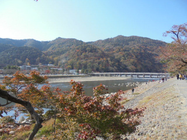 DSC02471