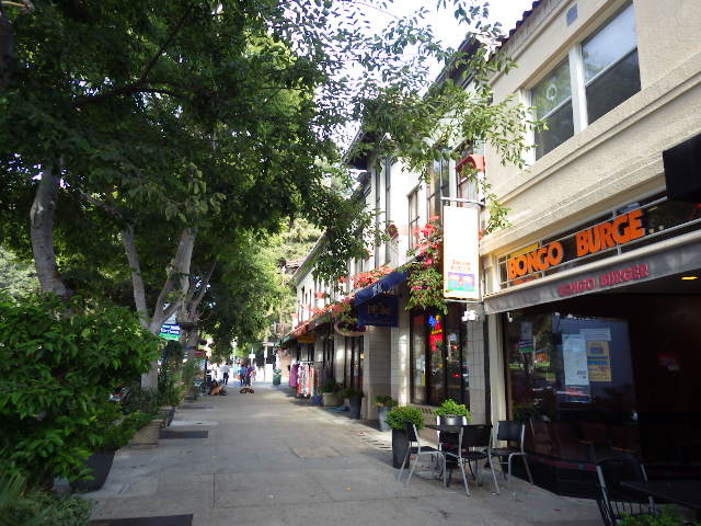 IMGP3118