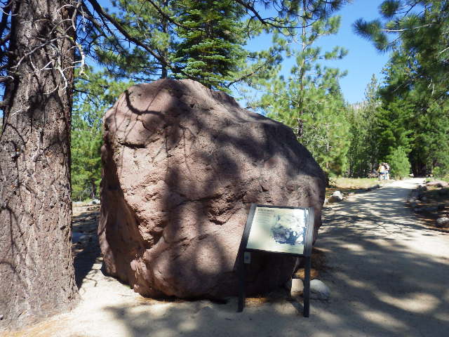 IMGP1929