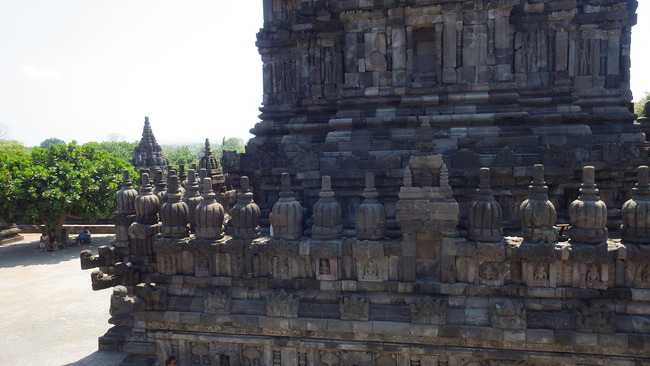IMGP7960