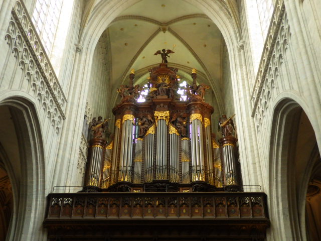 IMGP2480