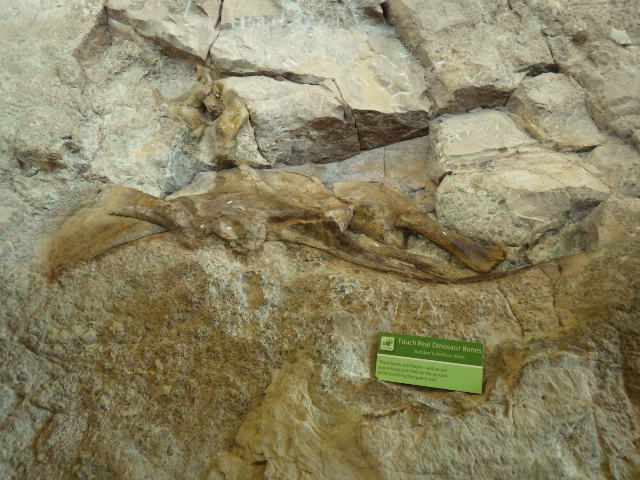 IMGP9817