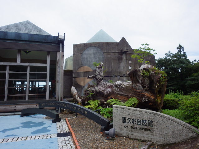 imgp3108