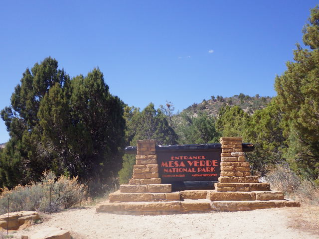 IMGP5671
