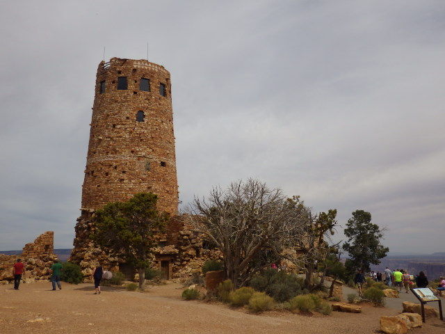 IMGP5163