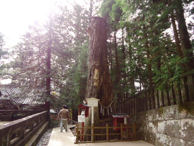 dsc00187