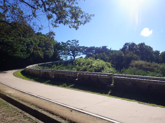 IMGP8796