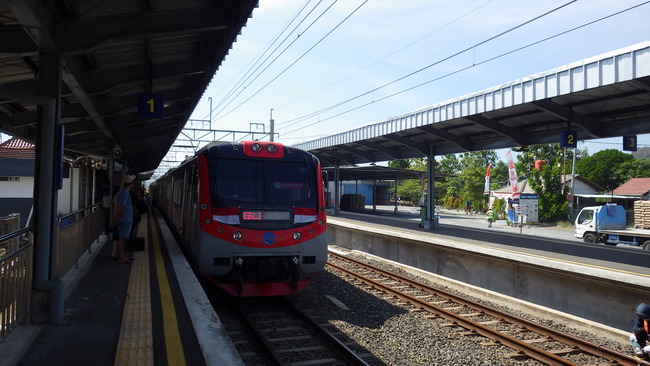 IMGP8113