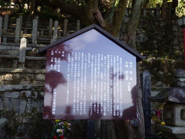 IMGP6844