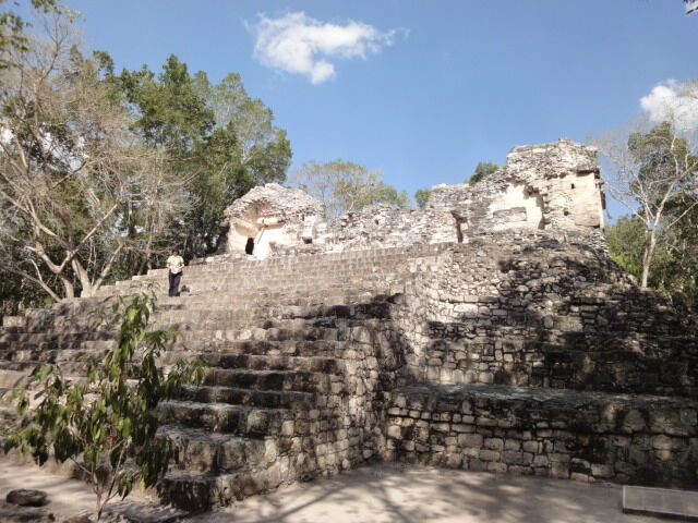 image-5