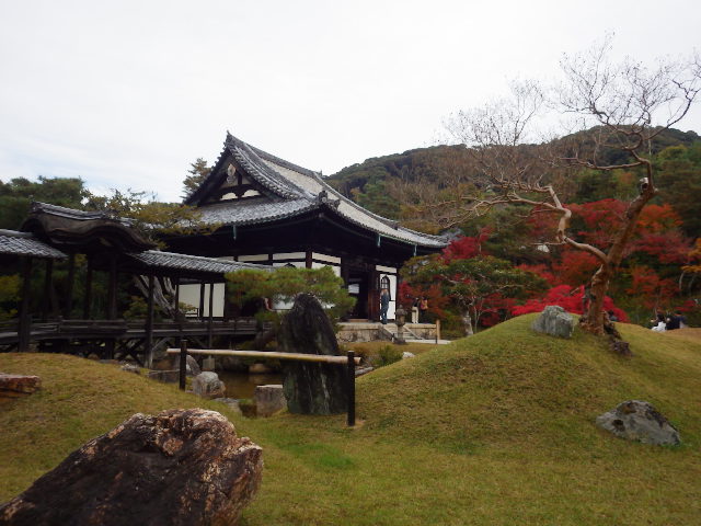 IMGP6878