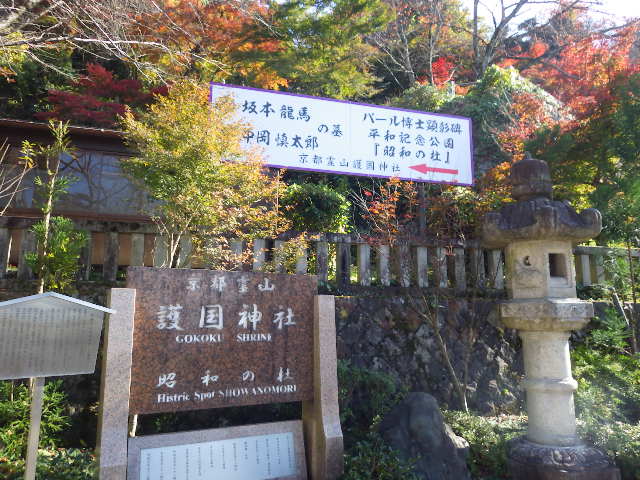 IMGP6833