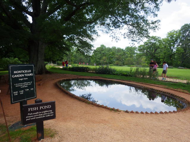 IMGP7433