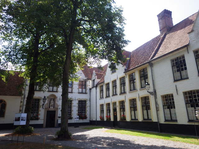 IMGP2225