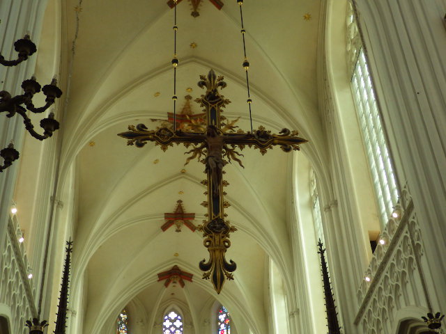 IMGP2497