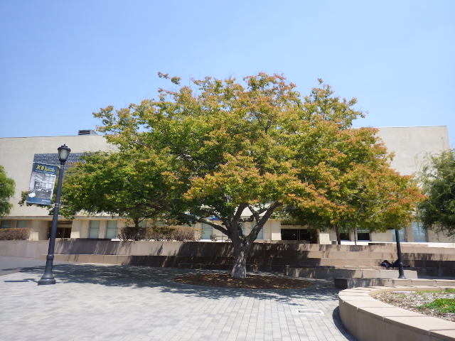IMGP2676