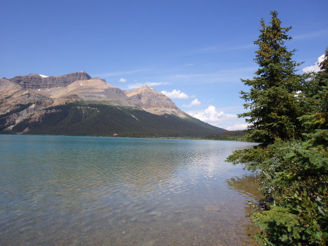 imgp0062